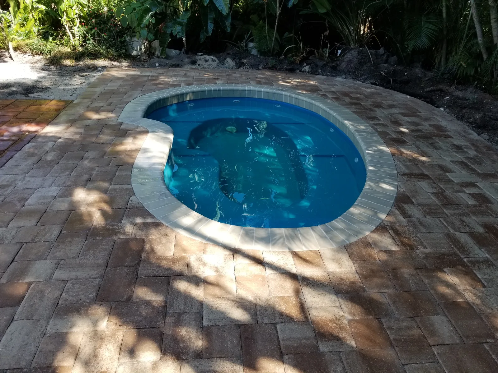 Pool project 3 by Red Spade Repairs in South Florida